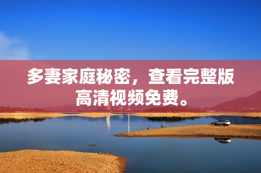 多妻家庭秘密，查看完整版高清视频免费。