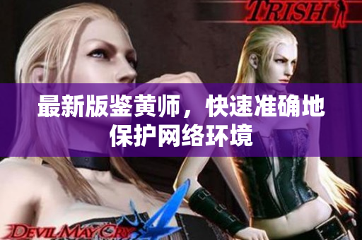 最新版鉴黄师，快速准确地保护网络环境