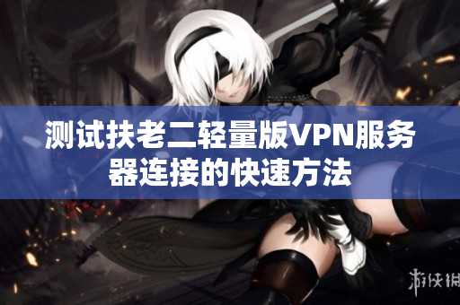 测试扶老二轻量版VPN服务器连接的快速方法