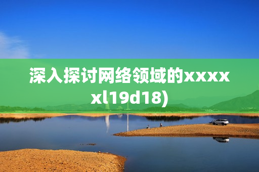 深入探讨网络领域的xxxxxl19d18)