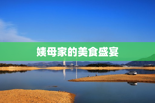 姨母家的美食盛宴