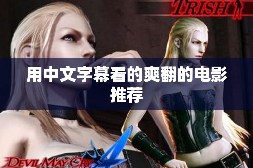 用中文字幕看的爽翻的电影推荐