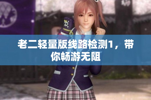 老二轻量版线路检测1，带你畅游无阻