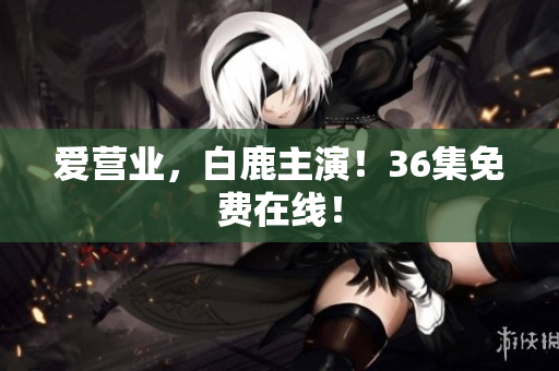爱营业，白鹿主演！36集免费在线！