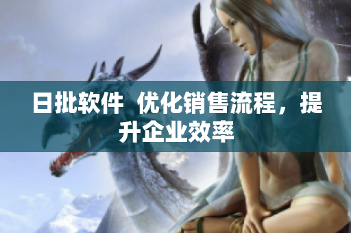 日批软件  优化销售流程，提升企业效率