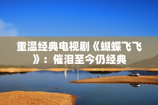 重温经典电视剧《蝴蝶飞飞》：催泪至今仍经典