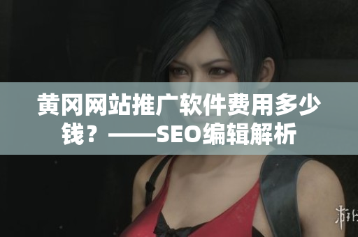 黄冈网站推广软件费用多少钱？——SEO编辑解析