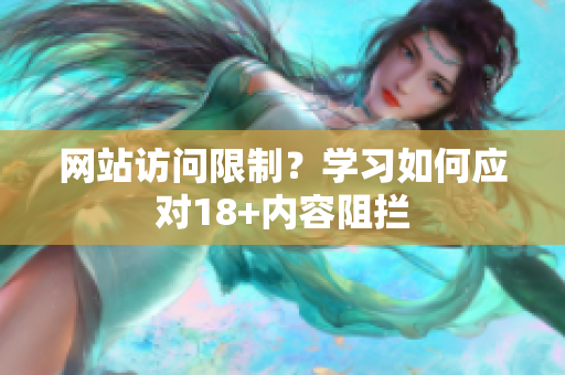 网站访问限制？学习如何应对18+内容阻拦
