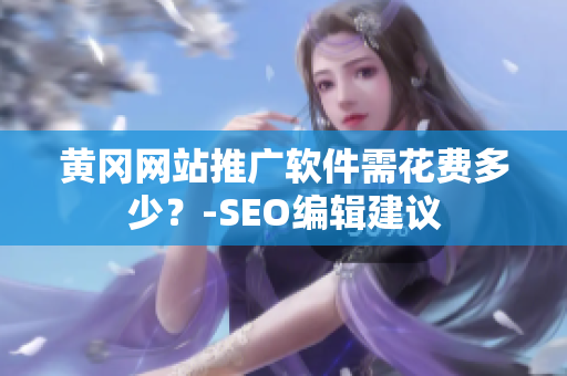 黄冈网站推广软件需花费多少？-SEO编辑建议
