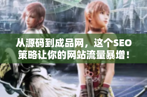 从源码到成品网，这个SEO策略让你的网站流量暴增！