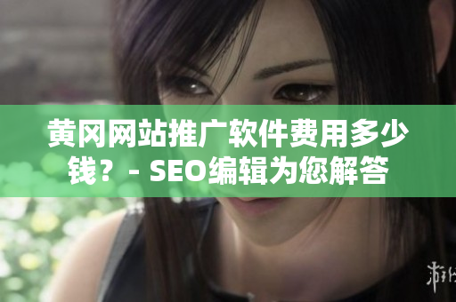 黄冈网站推广软件费用多少钱？- SEO编辑为您解答