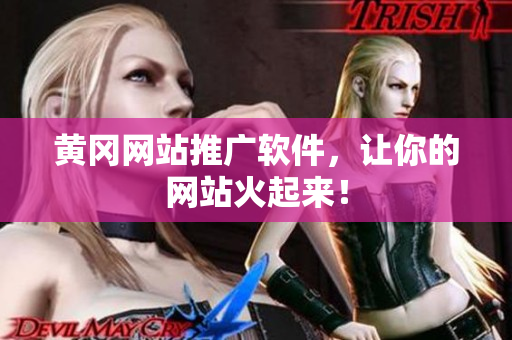 黄冈网站推广软件，让你的网站火起来！