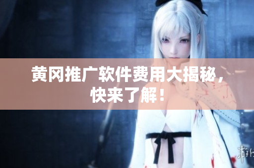 黄冈推广软件费用大揭秘，快来了解！