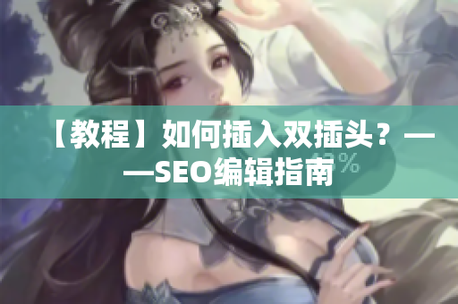 【教程】如何插入双插头？——SEO编辑指南