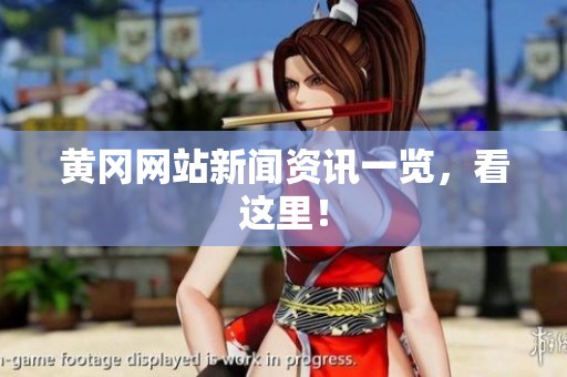 黄冈网站新闻资讯一览，看这里！