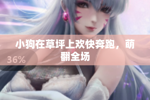 小狗在草坪上欢快奔跑，萌翻全场