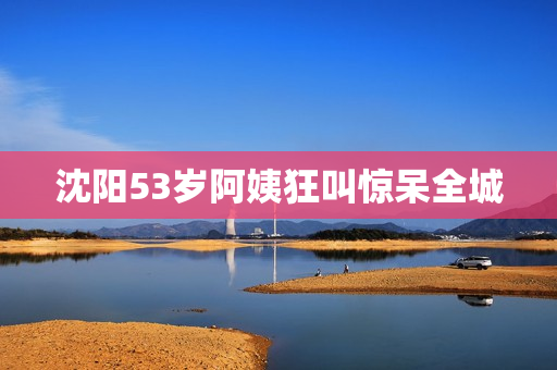 沈阳53岁阿姨狂叫惊呆全城