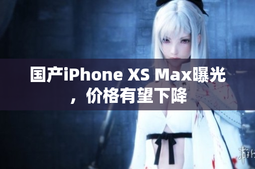 国产iPhone XS Max曝光，价格有望下降