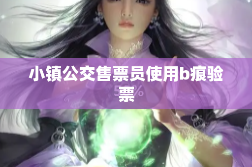 小镇公交售票员使用b痕验票