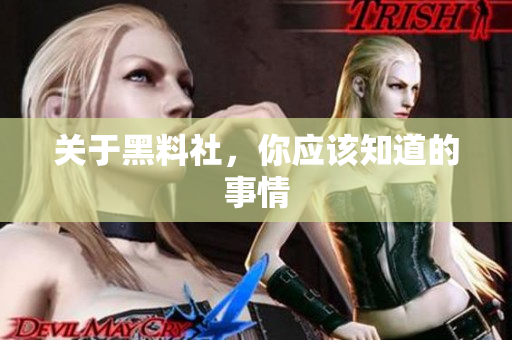 关于黑料社，你应该知道的事情