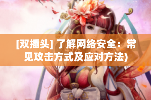 [双插头] 了解网络安全：常见攻击方式及应对方法)