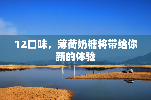 12口味，薄荷奶糖将带给你新的体验