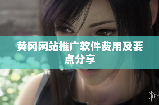 黄冈网站推广软件费用及要点分享