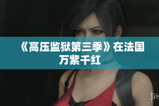 《高压监狱第三季》在法国万紫千红