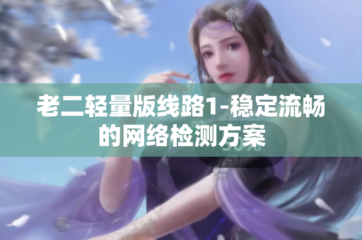 老二轻量版线路1-稳定流畅的网络检测方案