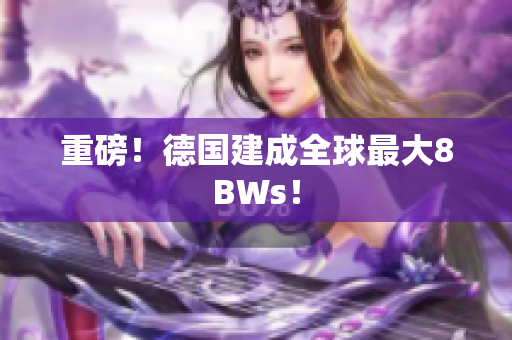 重磅！德国建成全球最大8BWs！