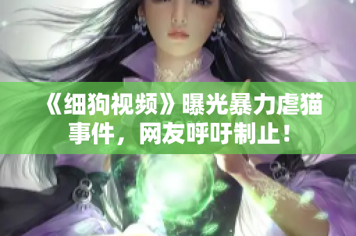《细狗视频》曝光暴力虐猫事件，网友呼吁制止！