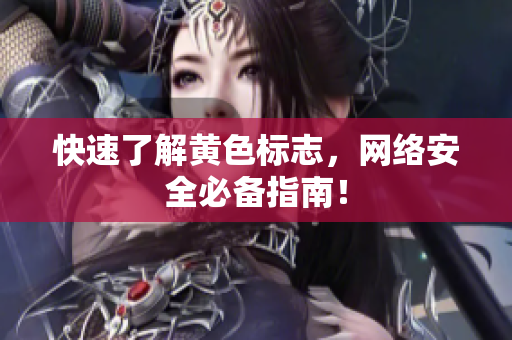 快速了解黄色标志，网络安全必备指南！