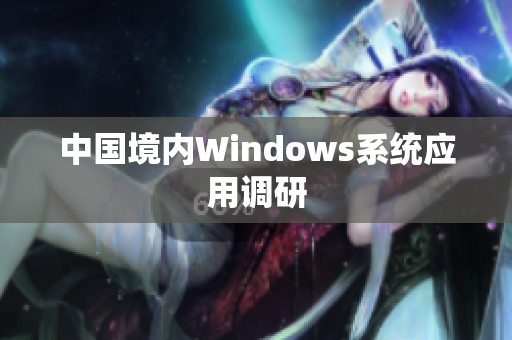 中国境内Windows系统应用调研