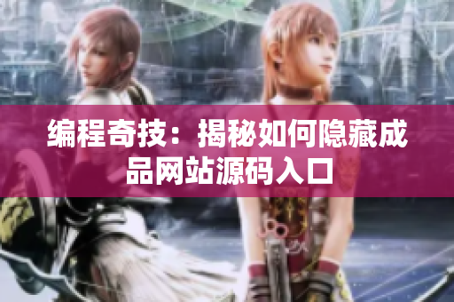 编程奇技：揭秘如何隐藏成品网站源码入口