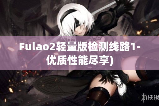 Fulao2轻量版检测线路1-优质性能尽享)