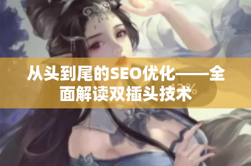 从头到尾的SEO优化——全面解读双插头技术