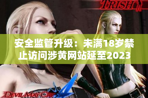 安全监管升级：未满18岁禁止访问涉黄网站延至2023