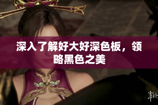 深入了解好大好深色板，领略黑色之美