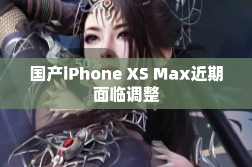 国产iPhone XS Max近期面临调整