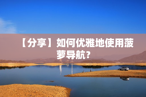 【分享】如何优雅地使用菠萝导航？
