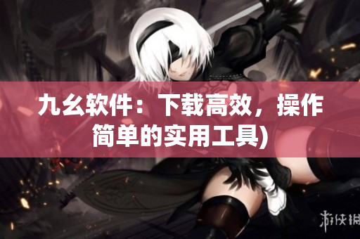 九幺软件：下载高效，操作简单的实用工具)