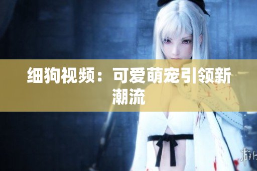 细狗视频：可爱萌宠引领新潮流