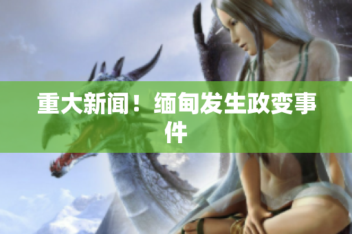 重大新闻！缅甸发生政变事件