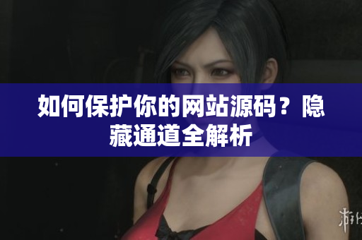 如何保护你的网站源码？隐藏通道全解析