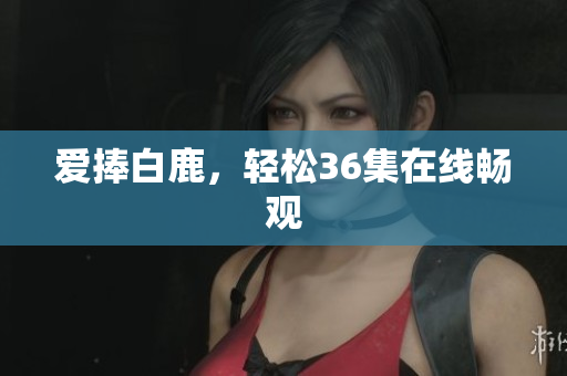 爱捧白鹿，轻松36集在线畅观