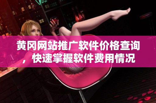 黄冈网站推广软件价格查询，快速掌握软件费用情况