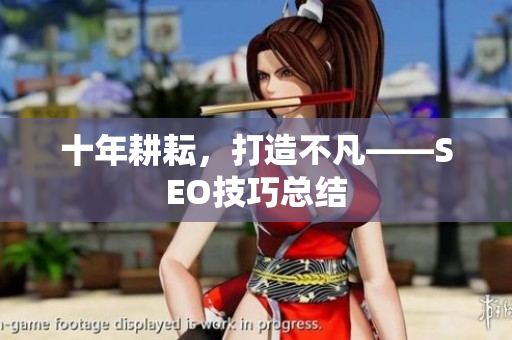 十年耕耘，打造不凡——SEO技巧总结