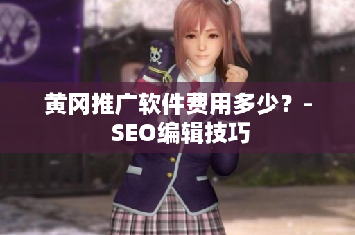 黄冈推广软件费用多少？- SEO编辑技巧