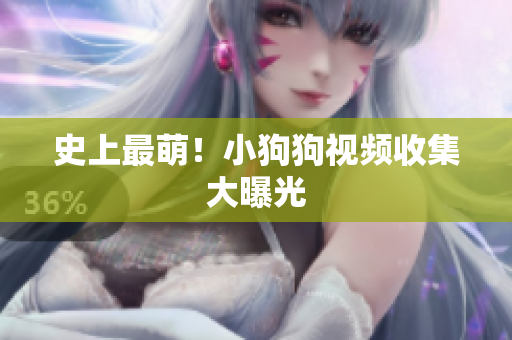 史上最萌！小狗狗视频收集大曝光