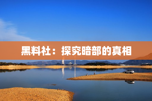 黑料社：探究暗部的真相